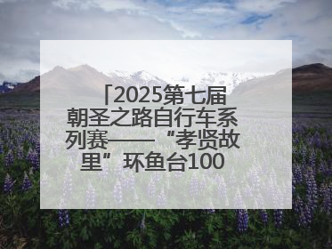 2025第七届朝圣之路自行车系列赛——“孝贤故里”环鱼台100公里挑战赛启幕