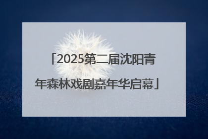 2025第二届沈阳青年森林戏剧嘉年华启幕