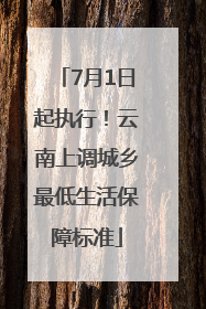 7月1日起执行！云南上调城乡最低生活保障标准