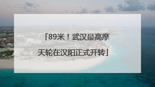 89米！武汉最高摩天轮在汉阳正式开转