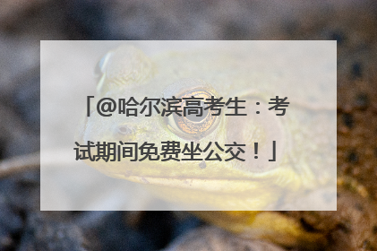 @哈尔滨高考生：考试期间免费坐公交！