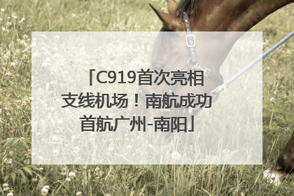 C919首次亮相支线机场！南航成功首航广州-南阳