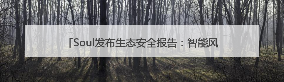 Soul发布生态安全报告：智能风控+社区共治构建社交安全新范式