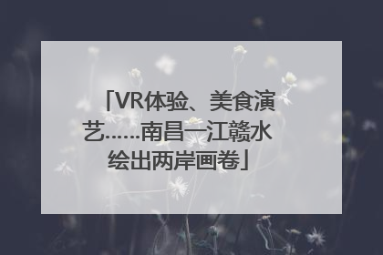 VR体验、美食演艺……南昌一江赣水绘出两岸画卷