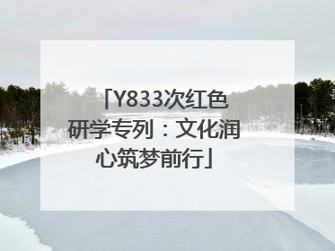 Y833次红色研学专列：文化润心筑梦前行